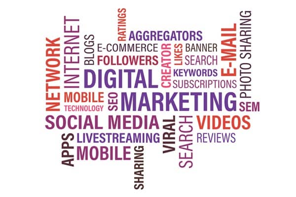 The Best SEO Tools for Beginners